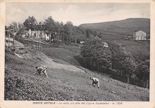 Cartolina Monte Antola Panorama animata 1959