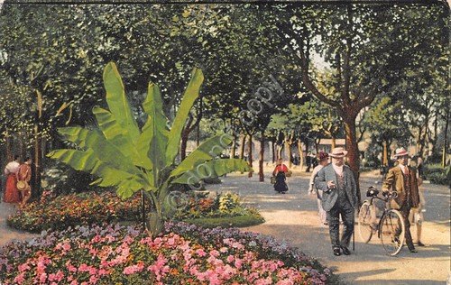 Cartolina Montecatini Bagni Viale Tettuccio animata | Immagine principale