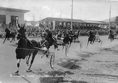 Cartolina Montecatini Terme Ippodromo Sesana cavalli in corsa fantini1954 timbro | Immagine principale