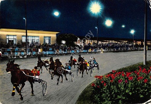 Cartolina Montecatini Terme Ippodromo Sesana Notturno bordi segnati | Immagine principale