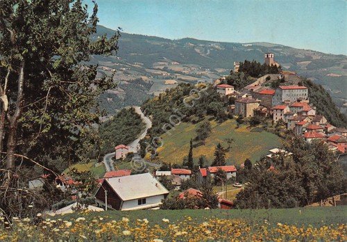 Cartolina Montecreto Panorama 1985
