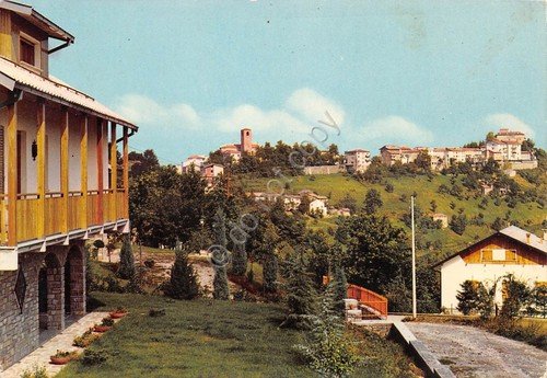 Cartolina Montefiorino Panorama con ville