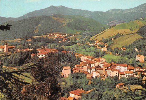 Cartolina Montepiano panorama 1965