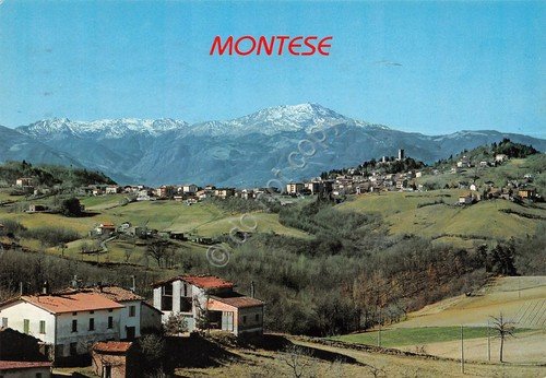 Cartolina Montese panorama e case 2005 | Immagine principale