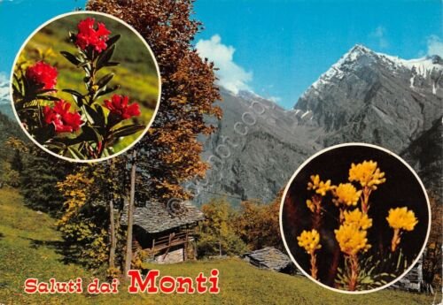 Cartolina Monti Rezzoaglio vedute e fiori 1977 (Genova)