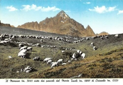 Cartolina Monviso visto dai pascoli di Monte Tivoli di Crissolo | Immagine principale