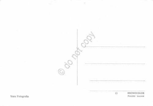 Cartolina Monviso visto dai pascoli di Monte Tivoli di Crissolo | Immagine Gallery 2