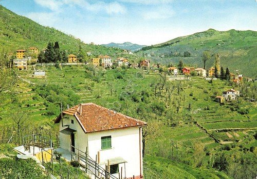 Cartolina Moranego panorama 1969