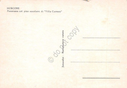 Cartolina Morcone panorama paese con pino di Villa Carmen anni … | Immagine Gallery 2