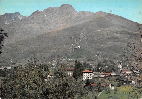 Cartolina Muzzano Panorama