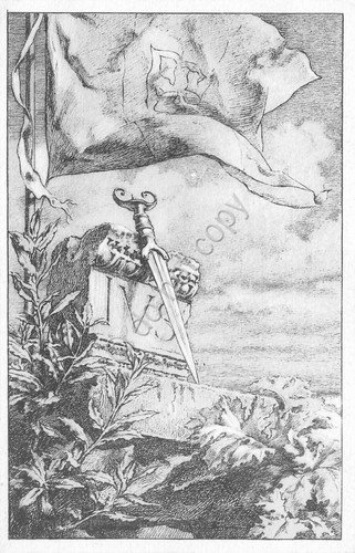 Cartolina Nave Lega Navale Italiana baionetta IVS illustrata | Immagine principale