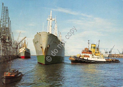 Cartolina Nave Port Elisabeth Harbour | Immagine principale