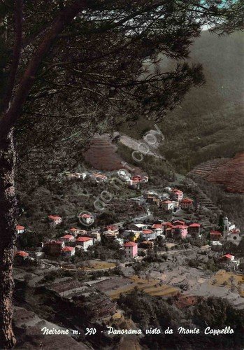 Cartolina Neirone panorama da Monte Cappello 1962 colorata