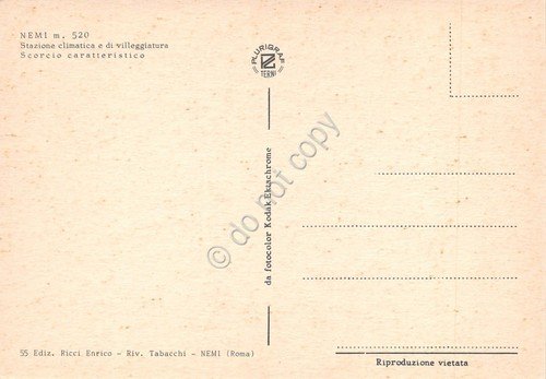Cartolina Nemi via del paese Bar Salumeria cantinone anni '70