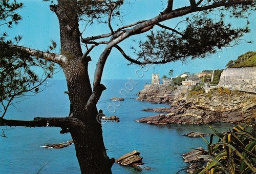 Cartolina Nervi Panorama parziale (Genova) | Immagine principale