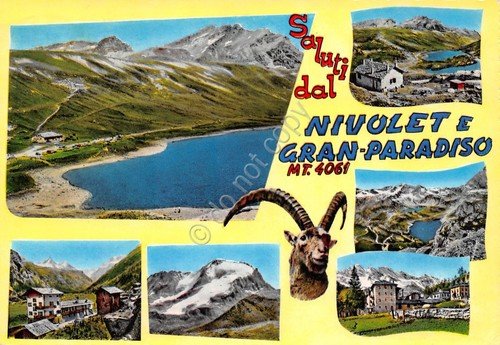 Cartolina Nivolet e Gran Paradiso 6 vedute stambecco 1964 (Torino)