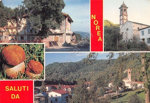Cartolina Norea Frazione di Roccaforte vedute varie e funghi