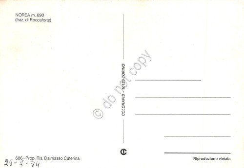 Cartolina Norea Frazione di Roccaforte vedute varie e funghi