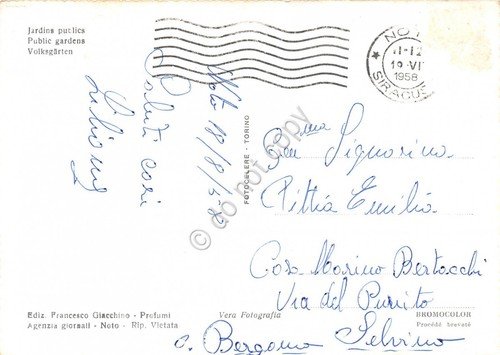 Cartolina Noto Giardini pubblici (Siracusa) | Immagine Gallery 2