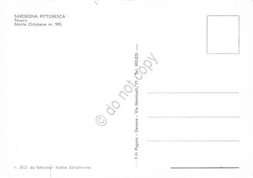 Cartolina Nuoro Monte Ortobene e case | Immagine Gallery 2