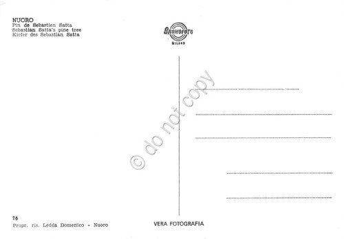 Cartolina Nuoro Pino di Sebastiano Satta | Immagine Gallery 2