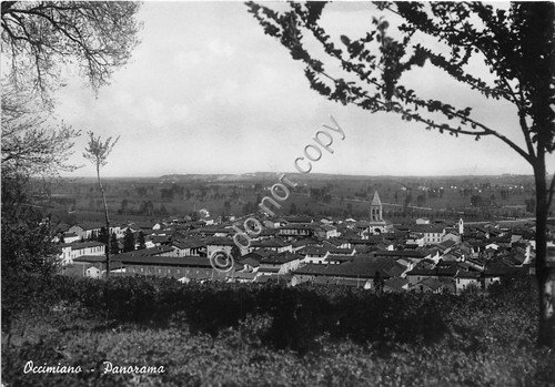 Cartolina Occimiano Panorama 1950