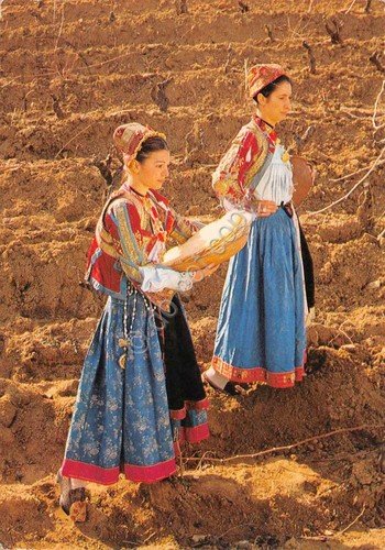 Cartolina Oliena Costumi tradizionali femminili | Immagine principale