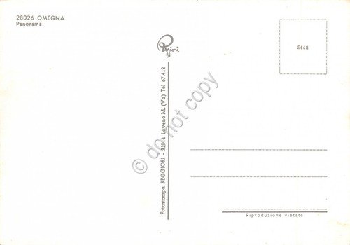 Cartolina Omegna panorama (Verbania) | Immagine Gallery 2