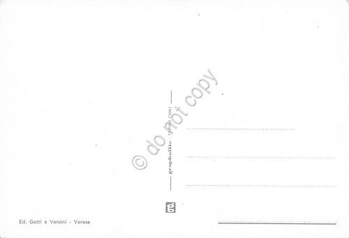 Cartolina Omegna vedute varie (Novara)