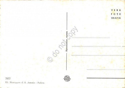 Cartolina Padova Basilica del Santo Chiostro del Noviziato | Immagine Gallery 2