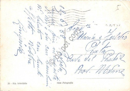 Cartolina Padova Basilica S. GIustina Interno 1952 | Immagine Gallery 2