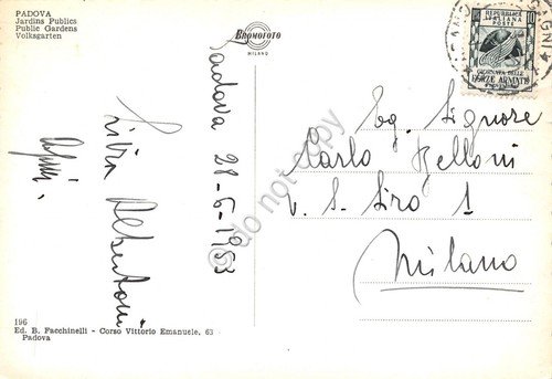 Cartolina Padova Giardini Pubblici 1953 | Immagine Gallery 2