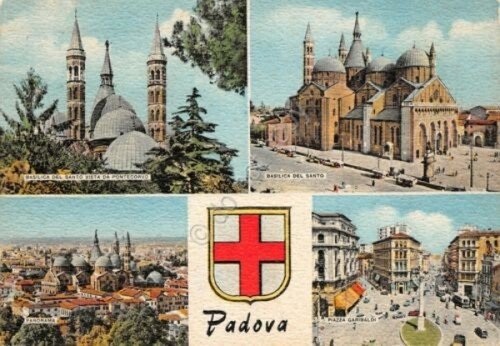 Cartolina Padova vedute 1960 | Immagine principale