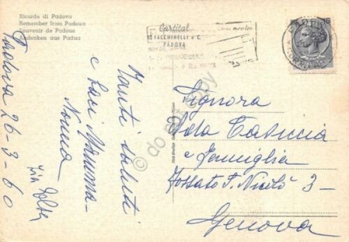 Cartolina Padova vedute 1960 | Immagine Gallery 2