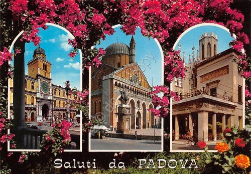 Cartolina Padova vedute varie e bouganville | Immagine principale