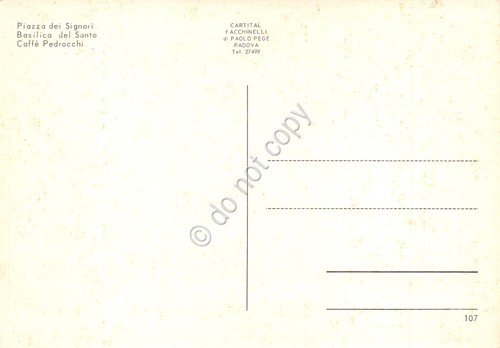 Cartolina Padova vedute varie e bouganville | Immagine Gallery 2