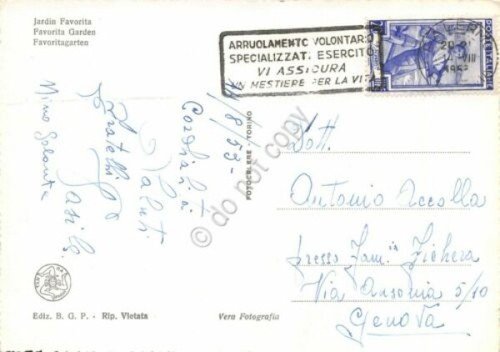 Cartolina Palermo Giardino Favorita Timbro Arruolamento Volontari 1953