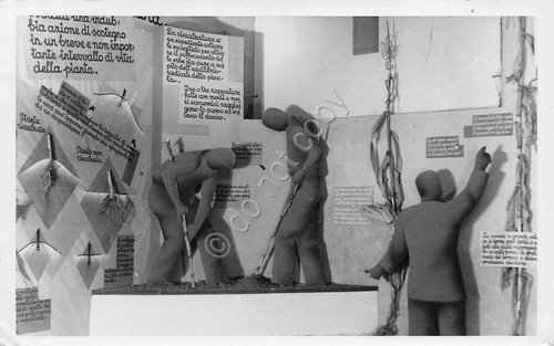 Cartolina Palmanova Mostra del Granoturco 1937 | Immagine principale