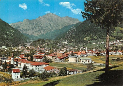 Cartolina Paluzza Carnia Panorama