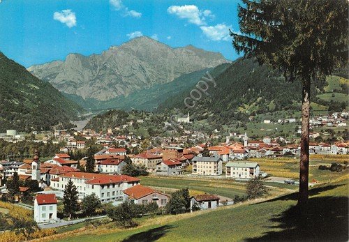 Cartolina Paluzza Carnia Panorama