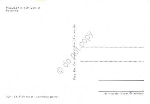 Cartolina Paluzza Carnia Panorama