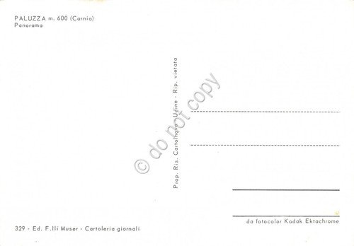 Cartolina Paluzza Carnia Panorama