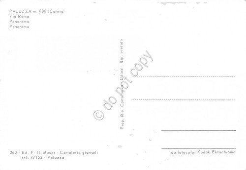 Cartolina Paluzza vedute Via Roma Panorama Notturno (Udine)