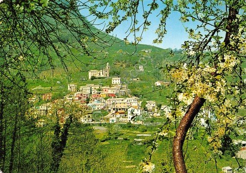 Cartolina Pannesi panorama 1969