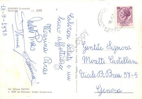 Cartolina Pannesi panorama parziale case 1973 | Immagine Gallery 2