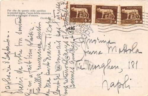 Cartolina Panorama con fiume Poesia Carducci al retro anni '40