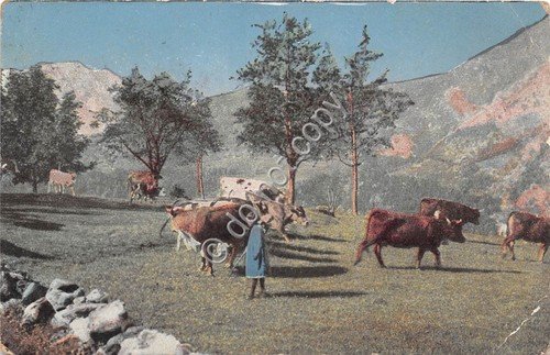 Cartolina Panorama con mucche al pascolo 1918 | Immagine principale