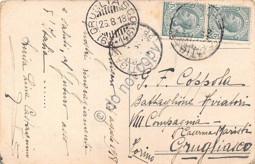 Cartolina Panorama con mucche al pascolo 1918 | Immagine Gallery 2