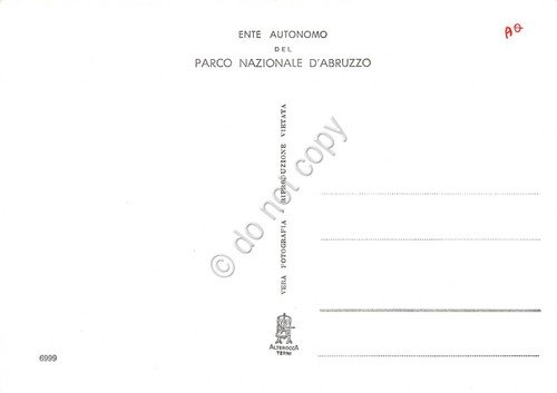 Cartolina Parco Nazionale d'Abruzzo La Camosciara | Immagine Gallery 2