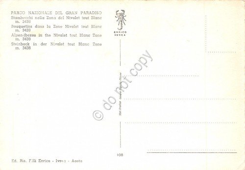 Cartolina Parco Nazionale del Gran Sasso Stambecchi Zona NIvolet (Teramo) | Immagine Gallery 2